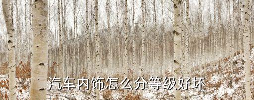 汽车内饰怎么分等级好坏