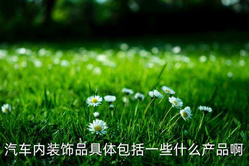 汽车内装饰品具体包括一些什么产品啊
