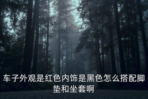 车子外观是红色内饰是黑色怎么搭配脚垫和坐套啊