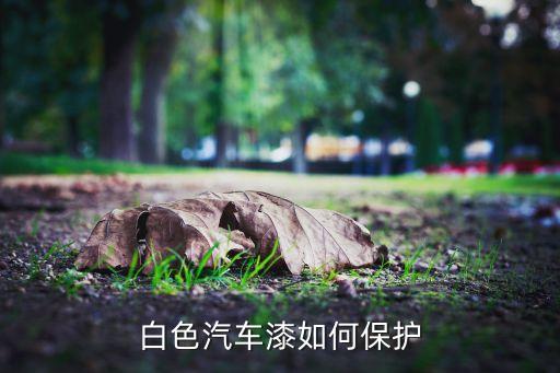 白色汽车漆如何保护