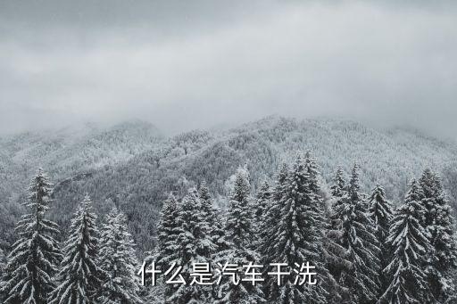 什么是汽车干洗