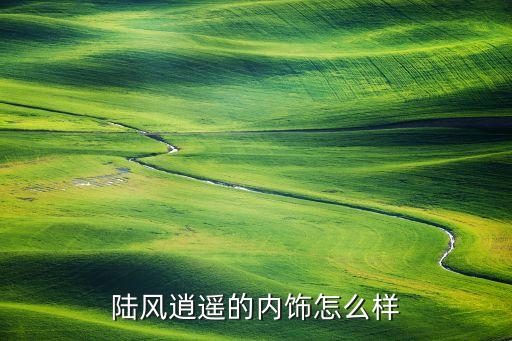 陆风逍遥的内饰怎么样