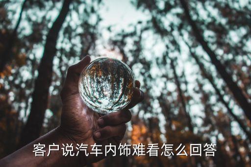 客户说汽车内饰难看怎么回答