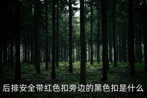 后排安全带红色扣旁边的黑色扣是什么