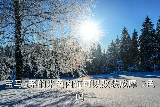 宝马5系的米色内饰可以改装成摩卡色吗