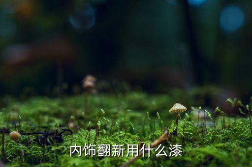 汽车内饰改色用什么漆，内饰 改色用什么漆