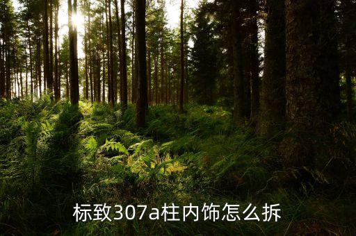 标致307a柱内饰怎么拆