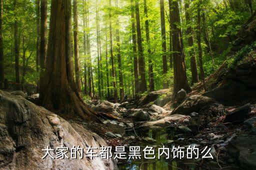 大家的车都是黑色内饰的么