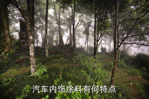 汽车内饰设计有什么特点，帝豪GS的内饰设计怎样有啥特点