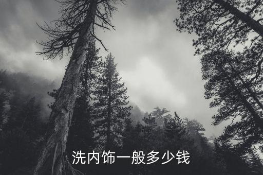 安宁汽车洗内饰多少钱一次，清洗汽车内饰一般多少钱