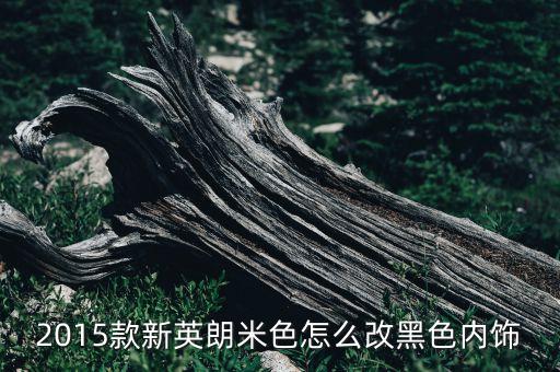 2015款新英朗米色怎么改黑色内饰