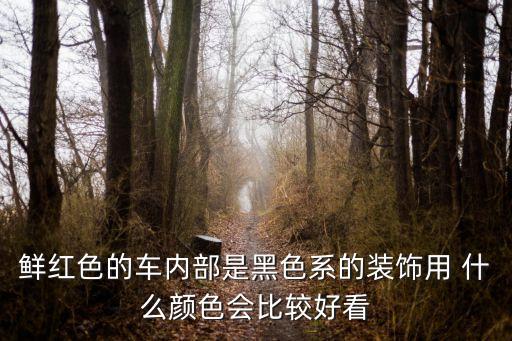 汽车内饰红黑配什么颜色，车子外观是红色内饰是黑色怎么搭配脚垫和坐套啊