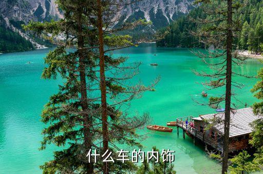 什么车的内饰