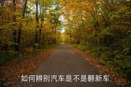 如何辨别汽车是不是翻新车