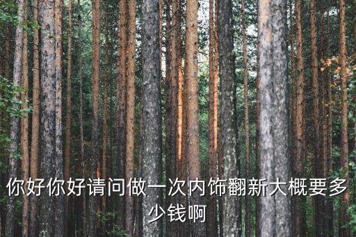 你好你好请问做一次内饰翻新大概要多少钱啊