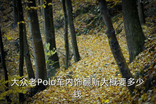 大众老Polo车内饰翻新大概要多少钱