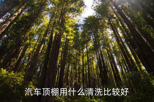 汽车顶棚用什么清洗比较好