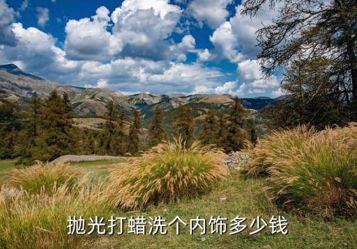 抛光打蜡洗个内饰多少钱