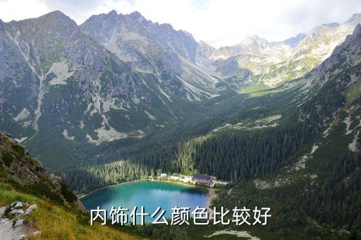 内饰什么颜色比较好