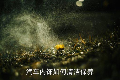 汽车洗内饰怎么做保养的，汽车内饰如何保养