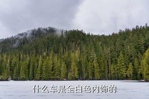 电动汽车内饰白色的是什么，汽车内饰饰白色套什么意思座椅