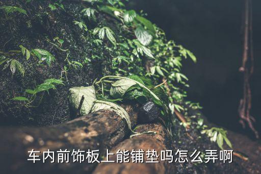车内前饰板上能铺垫吗怎么弄啊