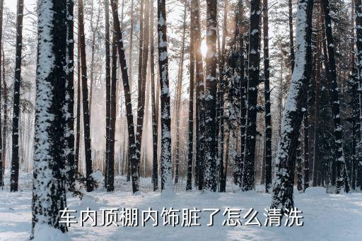 车内顶棚内饰脏了怎么清洗