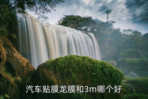 汽车贴膜龙膜和3m哪个好