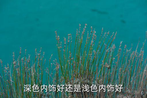 深色内饰好还是浅色内饰好