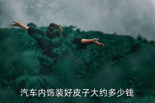 汽车皮质内饰多少钱一平方，汽车内饰包皮多少钱