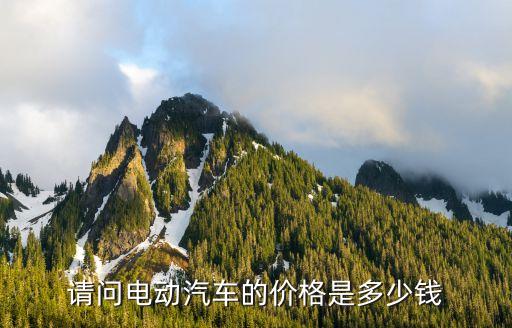 请问电动汽车的价格是多少钱