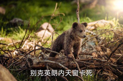 汽车天窗内饰卡住怎么办，汽车天窗里面的顶板卡住了