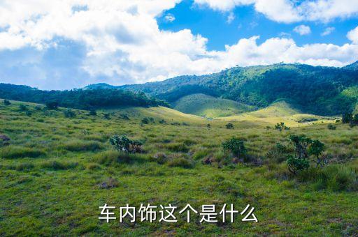 车内饰这个是什么