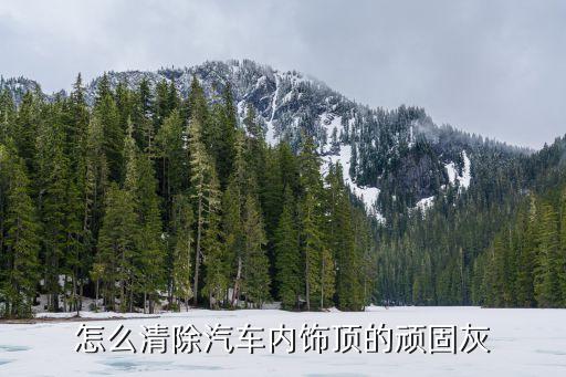 怎么清除汽车内饰顶的顽固灰