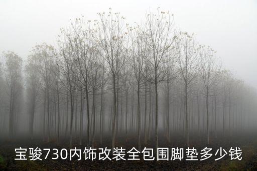 宝骏730内饰改装全包围脚垫多少钱