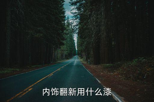 汽车内饰用什么改色漆好，内饰 改色用什么漆