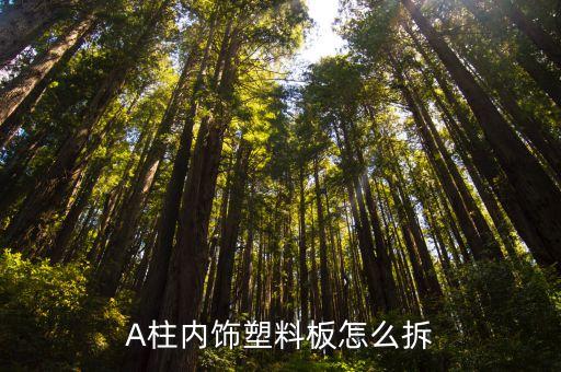 A柱内饰塑料板怎么拆