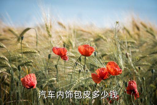 汽车内饰包皮多少钱