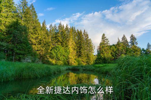全新捷达内饰怎么样
