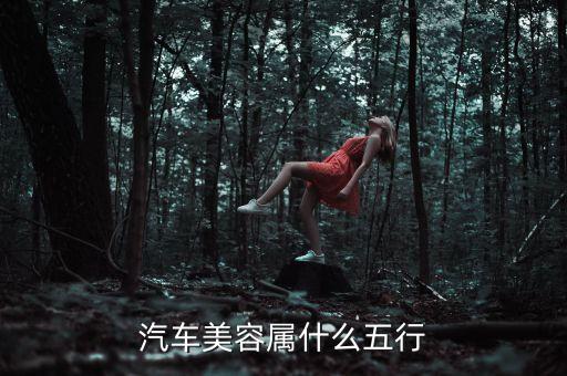 汽车美容属什么五行