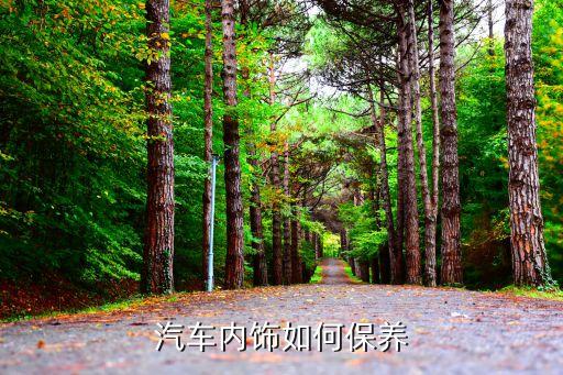 汽车内饰如何保养