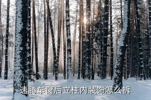 速腾车窗后立柱内装饰怎么拆