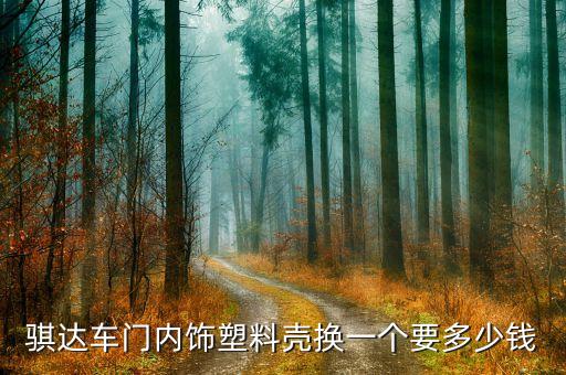 骐达车门内饰塑料壳换一个要多少钱
