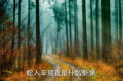 蛇入车底盘是什么卦象