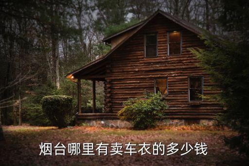 烟台哪里有卖车衣的多少钱