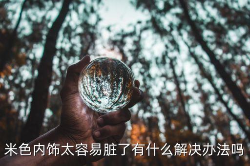 米色内饰太容易脏了有什么解决办法吗
