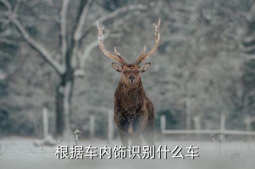 根据车内饰识别什么车