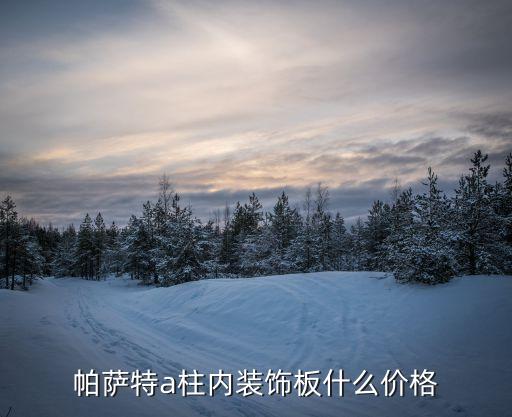 帕萨特a柱内装饰板什么价格