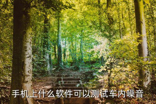 手机上什么软件可以测试车内噪音