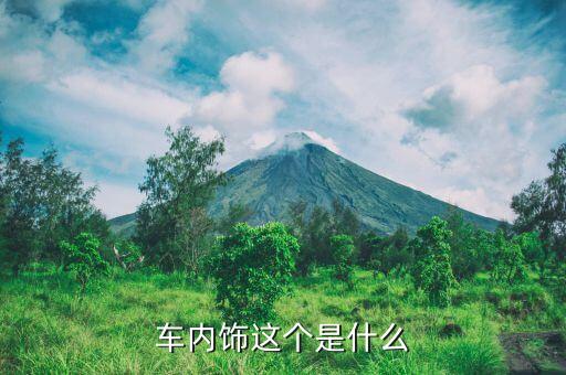 车内饰这个是什么